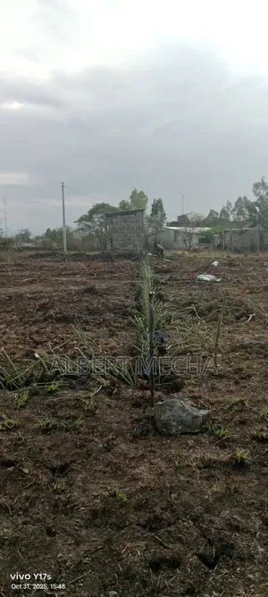 Plot for Sale