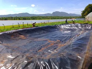 Dam Liner Installation