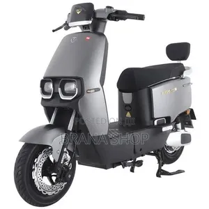 TAILG F56 Electric Scooter – Grey 
