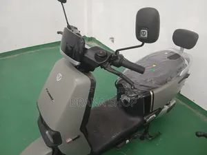 **TAILG F56 Electric Scooter in Grey – Modern Personal Mobility **