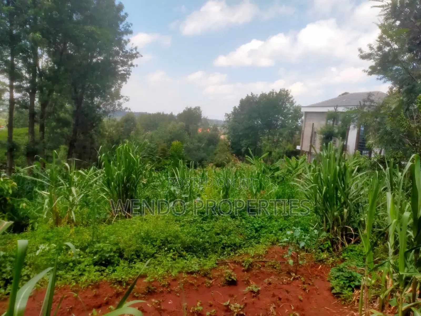 Quarter Acre for Sale
