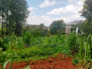 Quarter Acre for Sale