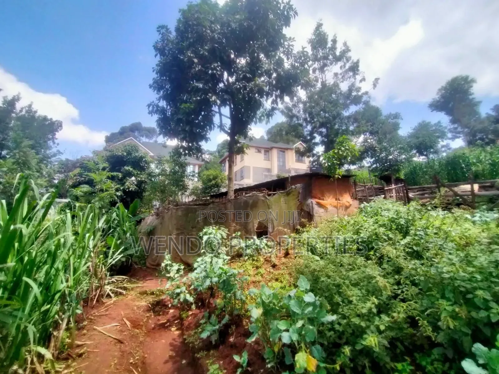 Quarter Acre for Sale