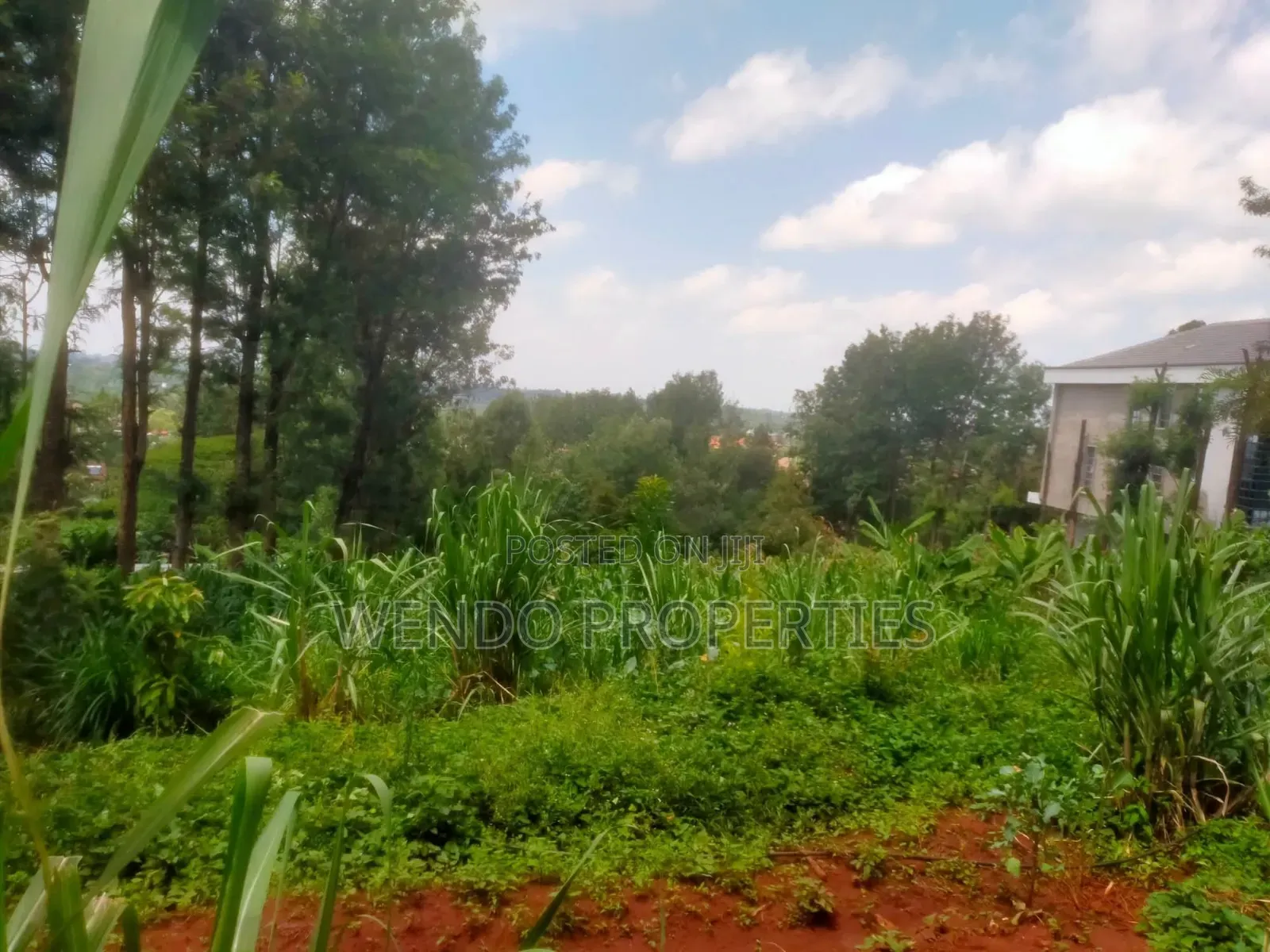 Quarter Acre for Sale