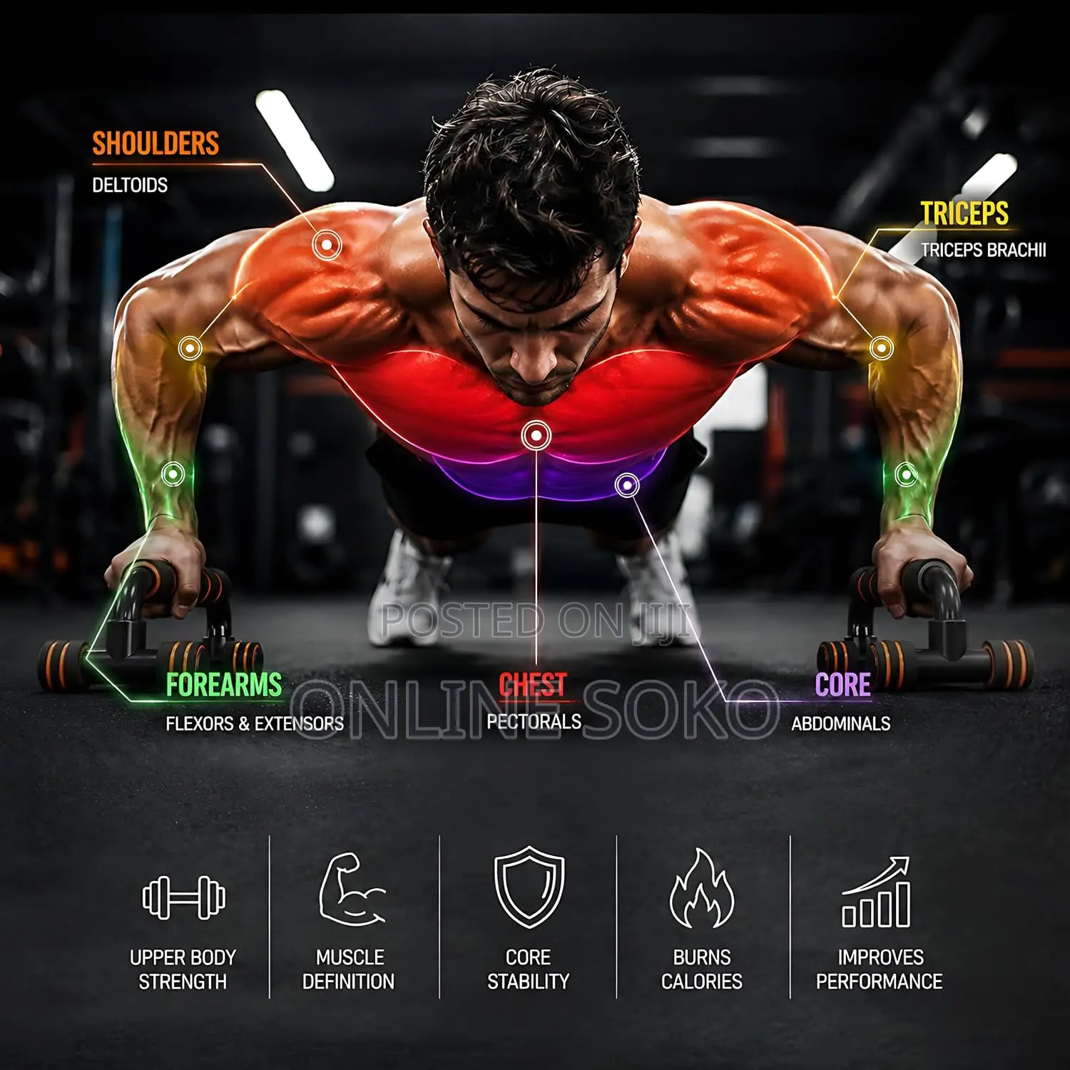 Push Up Bars Stand Pair for Home Gym, Calisthenics Strength Training