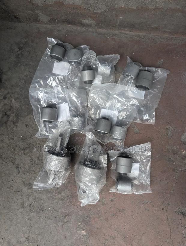 Mazda Atenza Bushes.