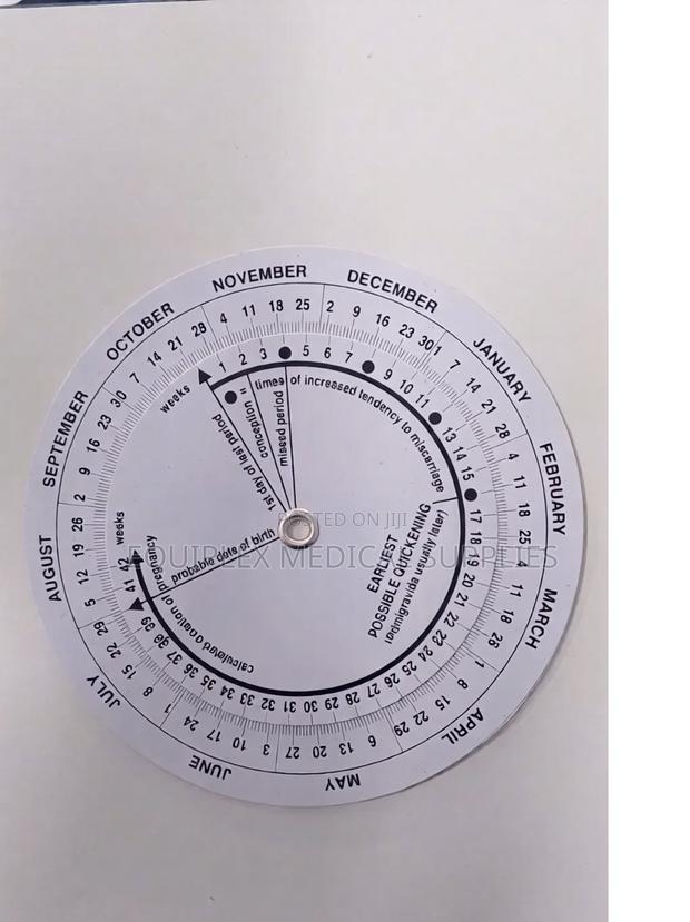 High Quality Pregnancy Wheel - main view