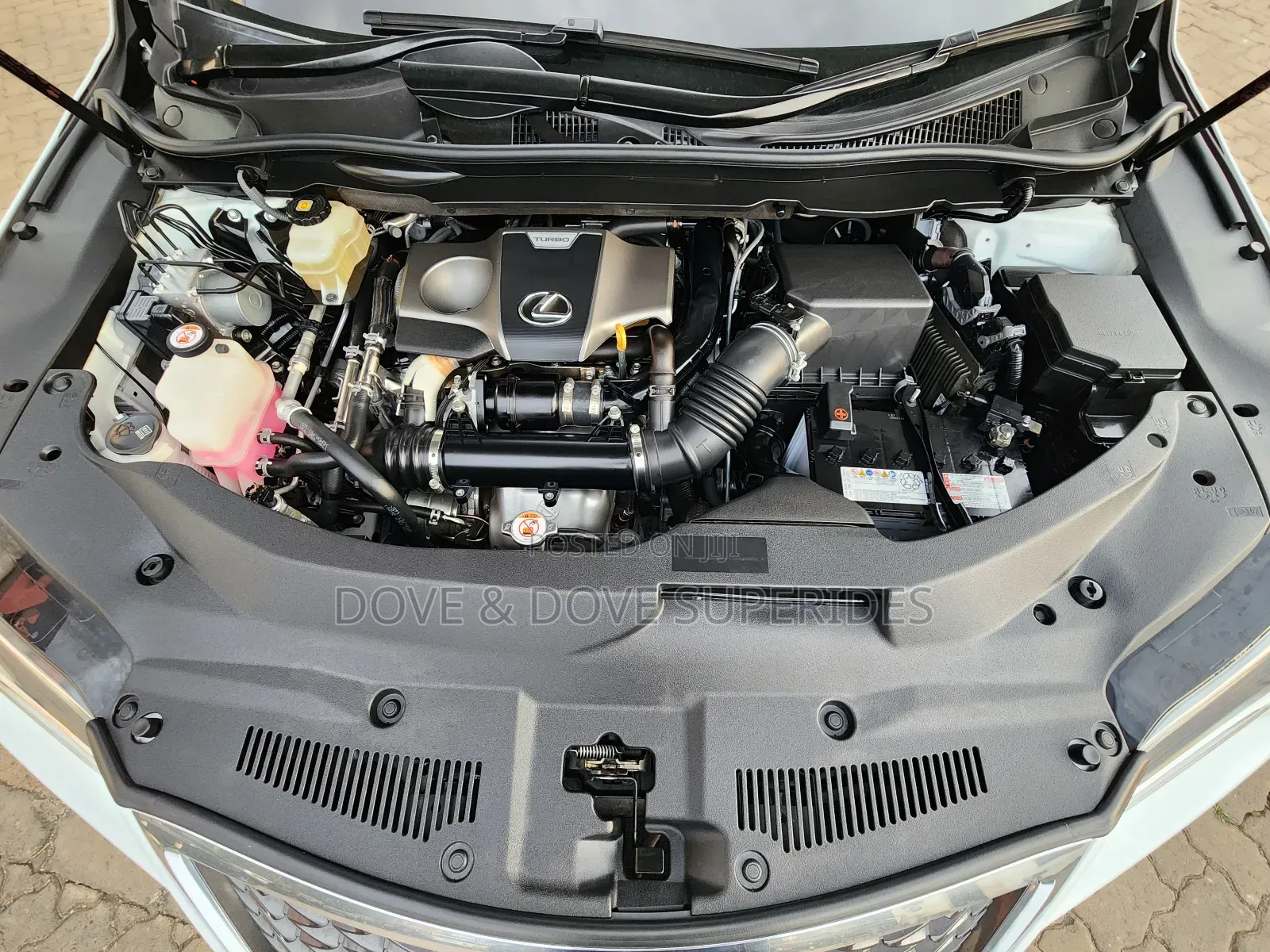 Lexus RX 300 4WD 2019 White