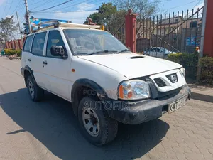 Nissan Terrano 2003 White