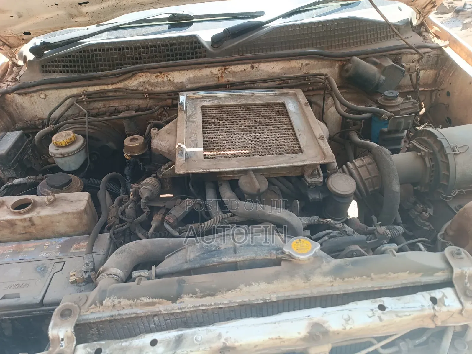 Nissan Terrano 2003 White
