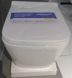 Wall Hanging Toilet