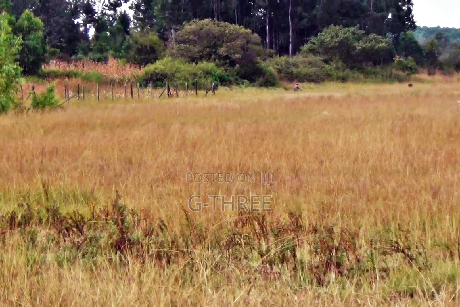 Prime Land in Makuyu