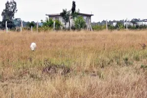 Prime Land in Makuyu