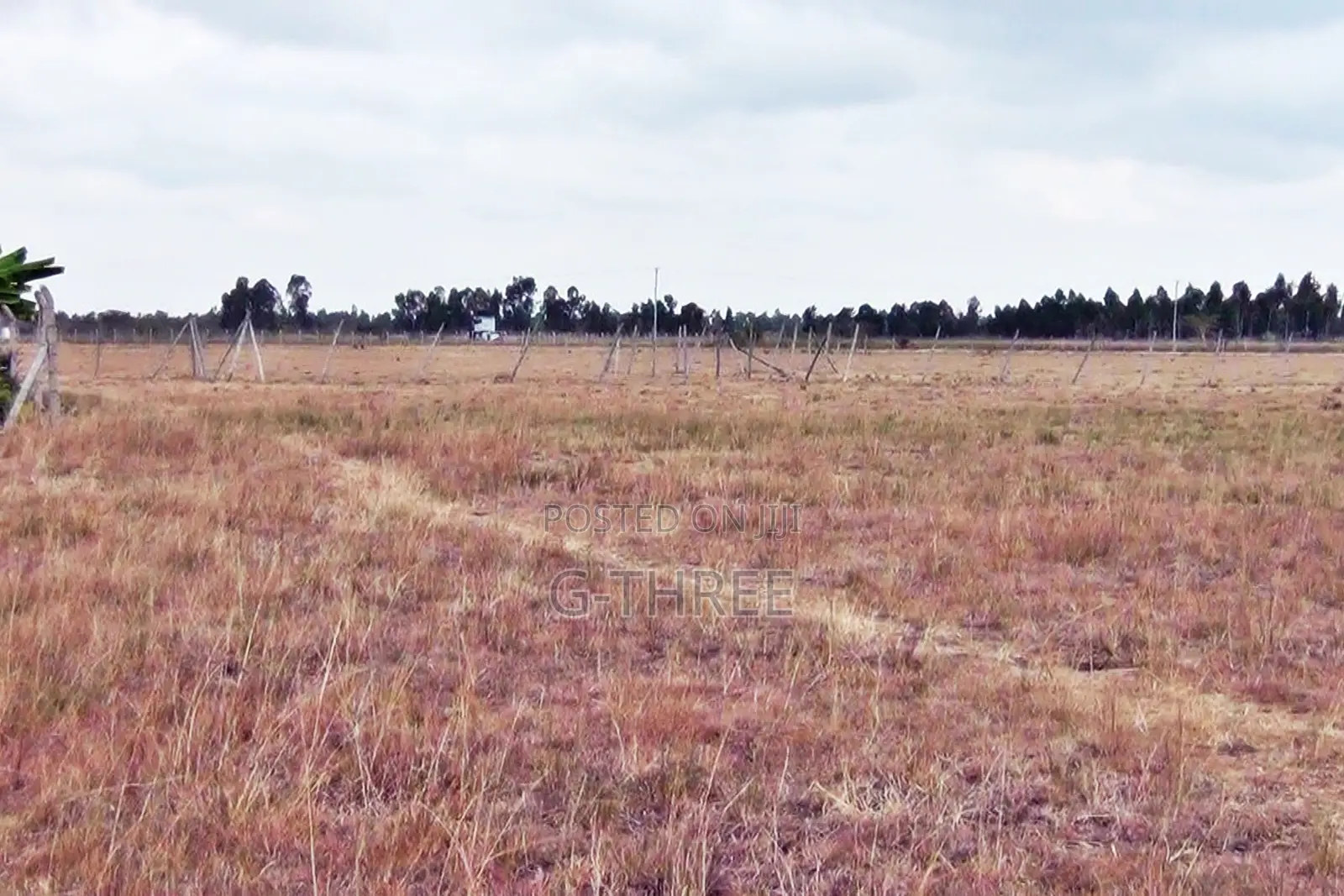 Prime Land in Makuyu