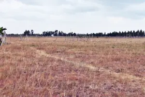 Prime Land in Makuyu