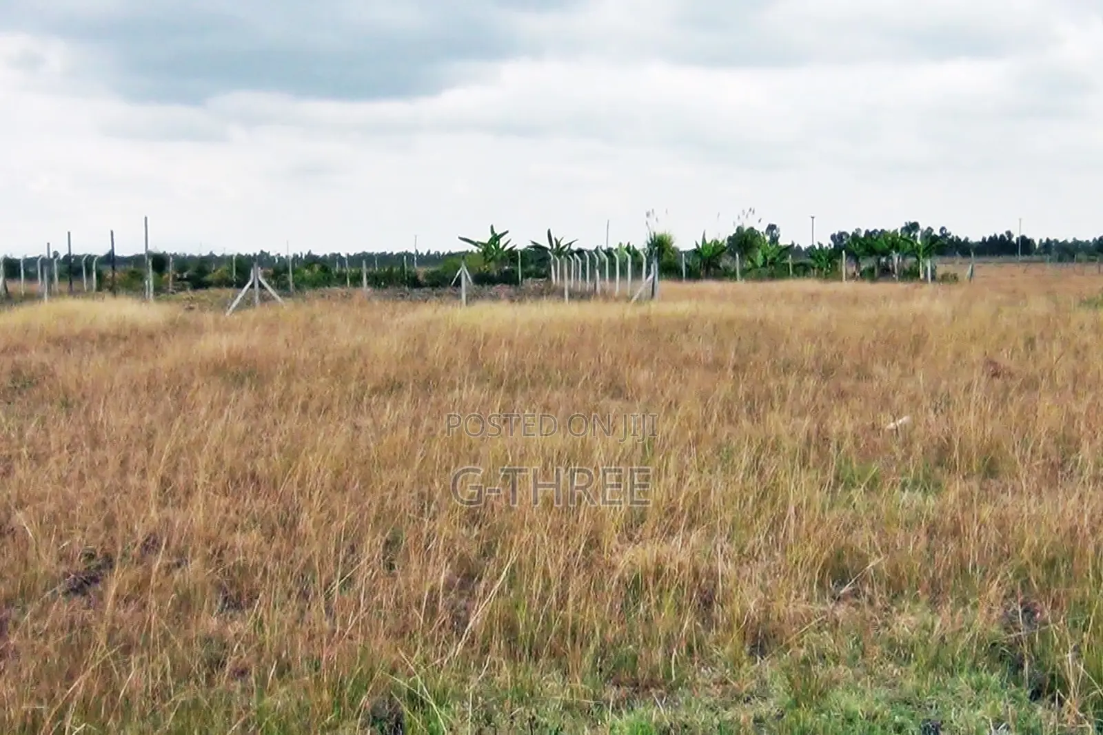 Prime Land in Makuyu