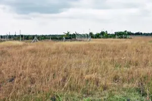 Prime Land in Makuyu