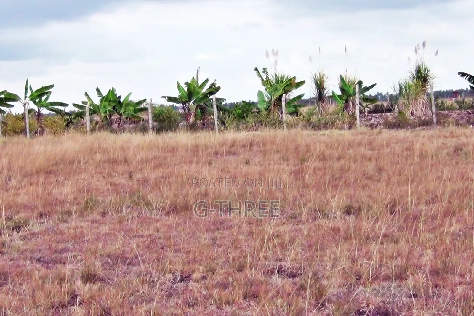 Prime Land in Makuyu