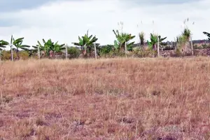 Prime Land in Makuyu