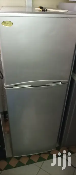 Mini Fridge Double Door