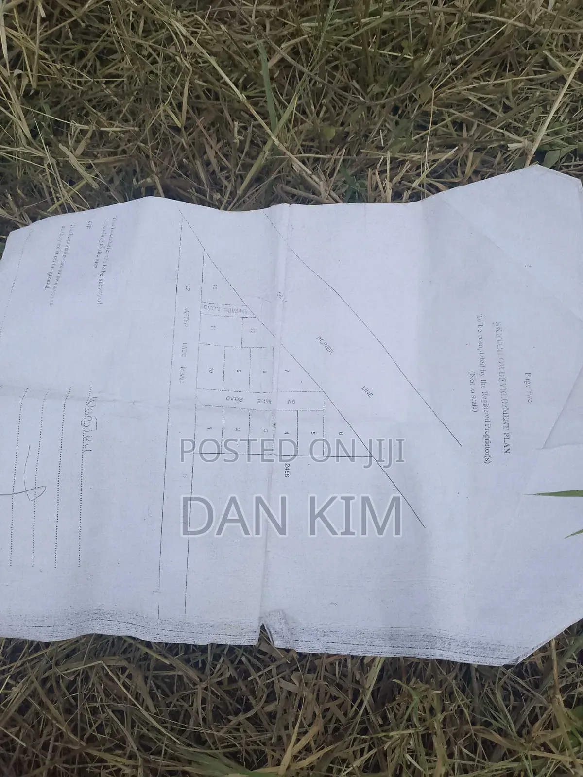 50by90ft Plot
