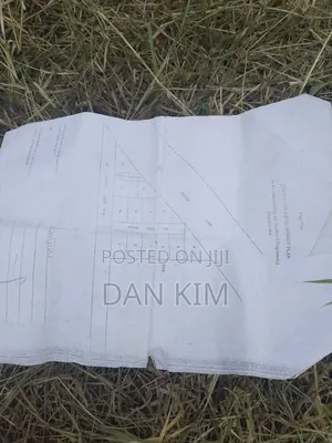 50by90ft Plot