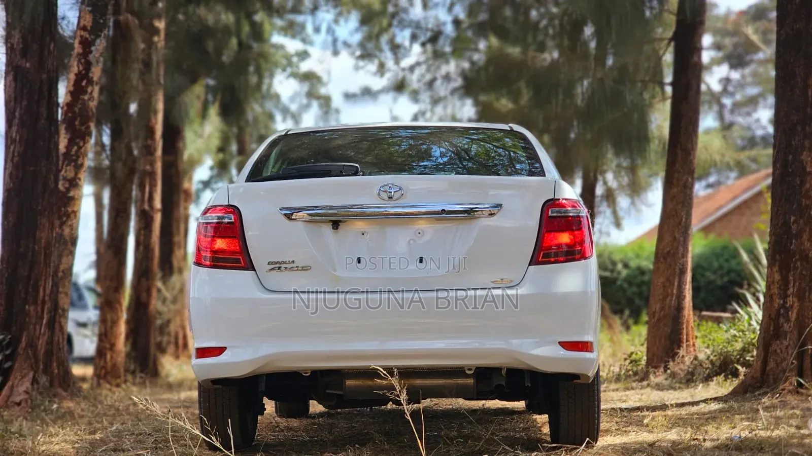 Toyota Axio 1.5 G 4WD 2019 White