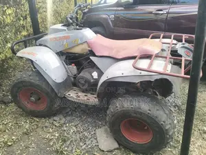 Polaris 1995 Red