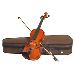 Stentor Student Violin Outfit