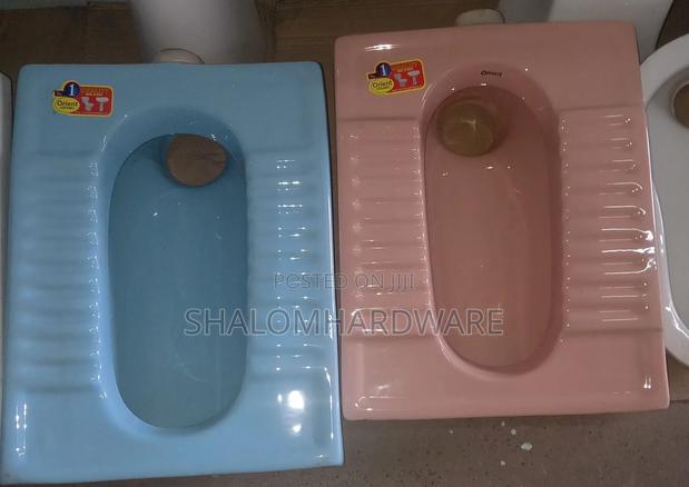 Asian Colored Toilet