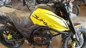 New Regal Raptor DY250 2024 Yellow