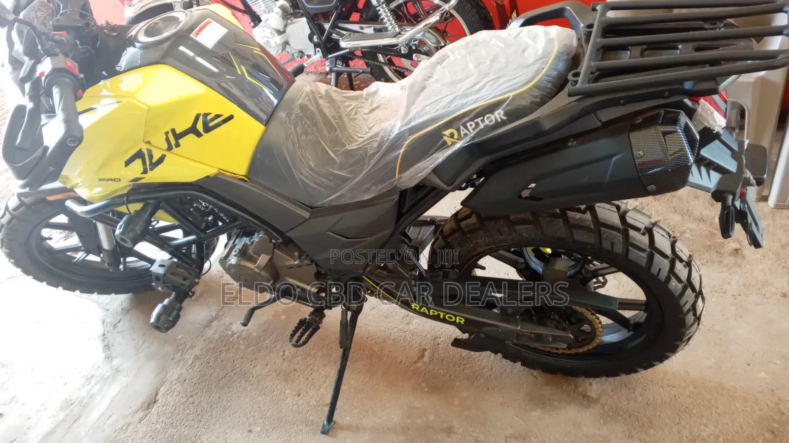 New Regal Raptor DY250 2024 Yellow