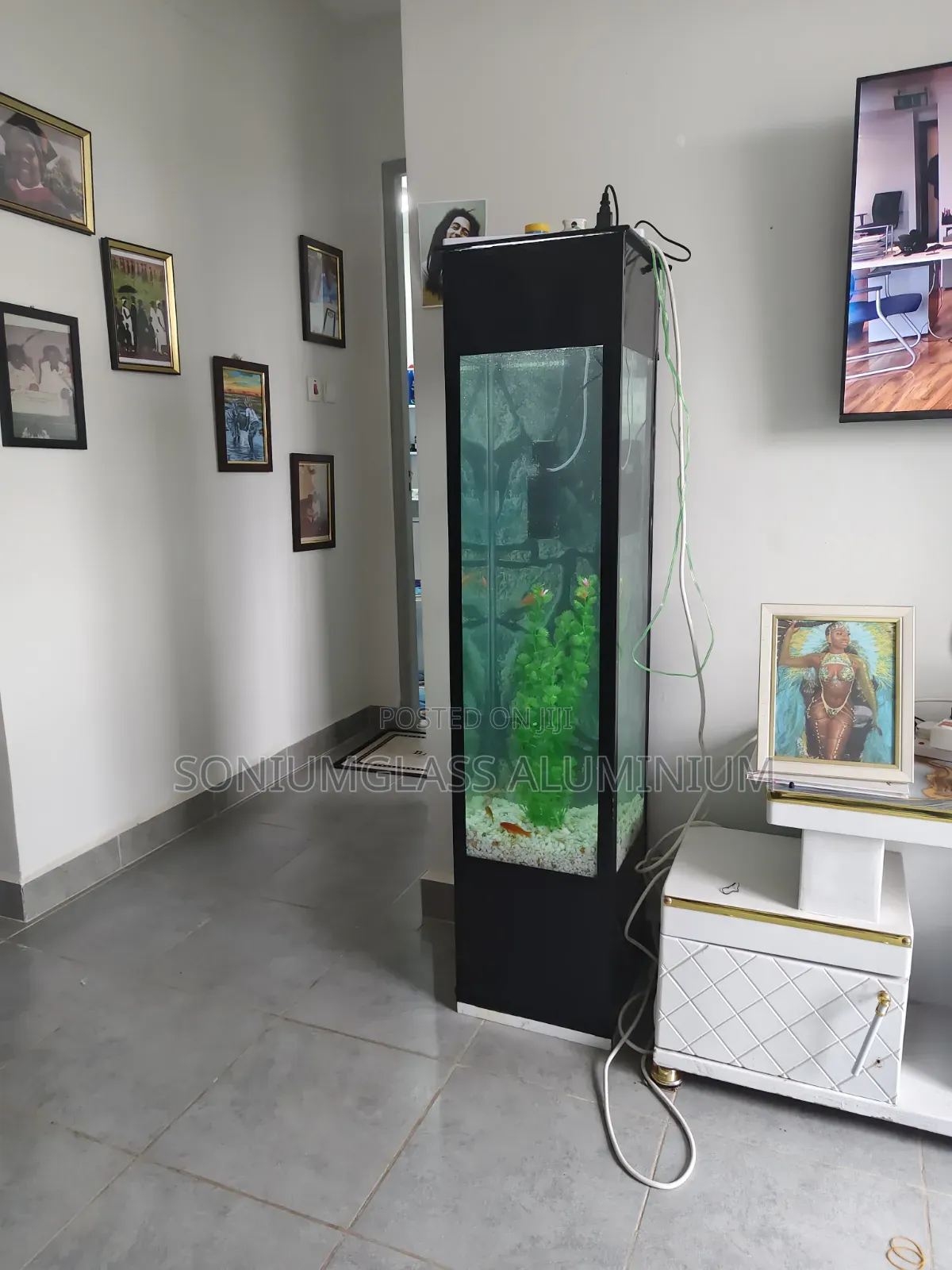 Fish Tanks Available