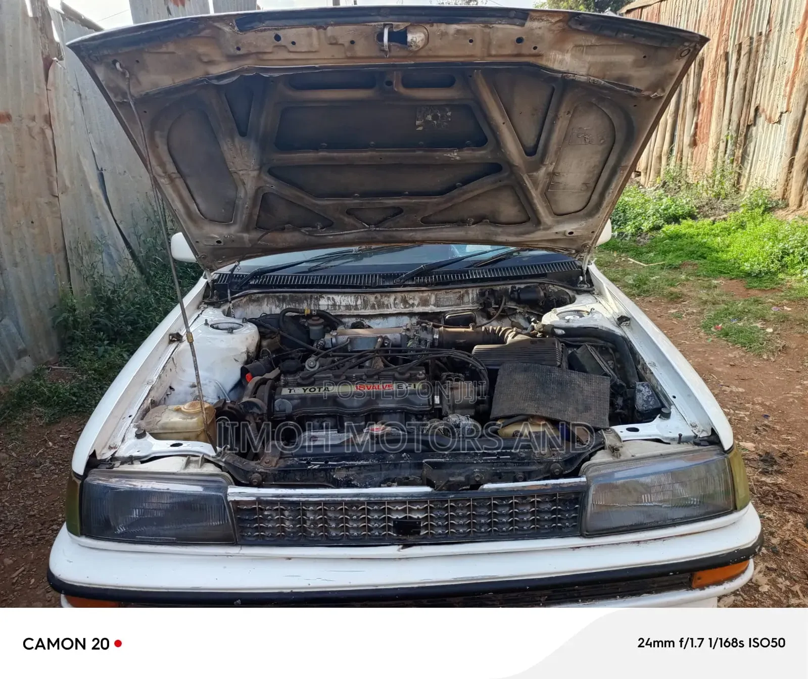 Toyota Corolla 1993 White