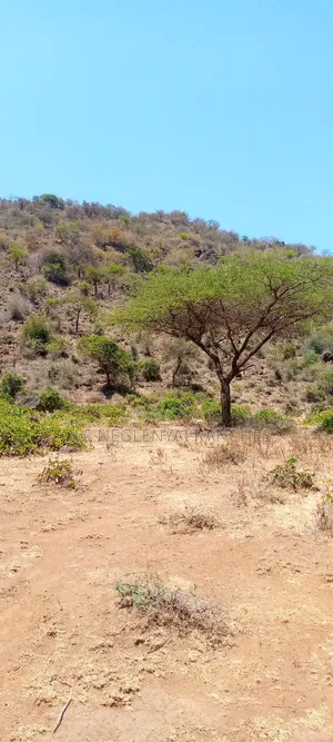 15 Acres Next to a Bore Hole for Sale