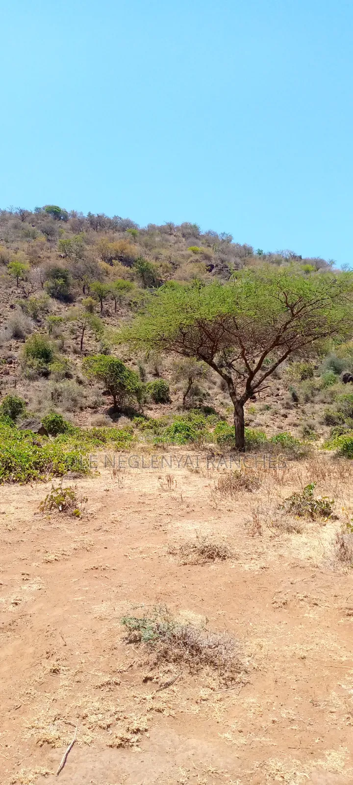 15 Acres Next to a Bore Hole for Sale