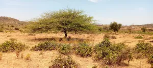 15 Acres Next to a Bore Hole for Sale