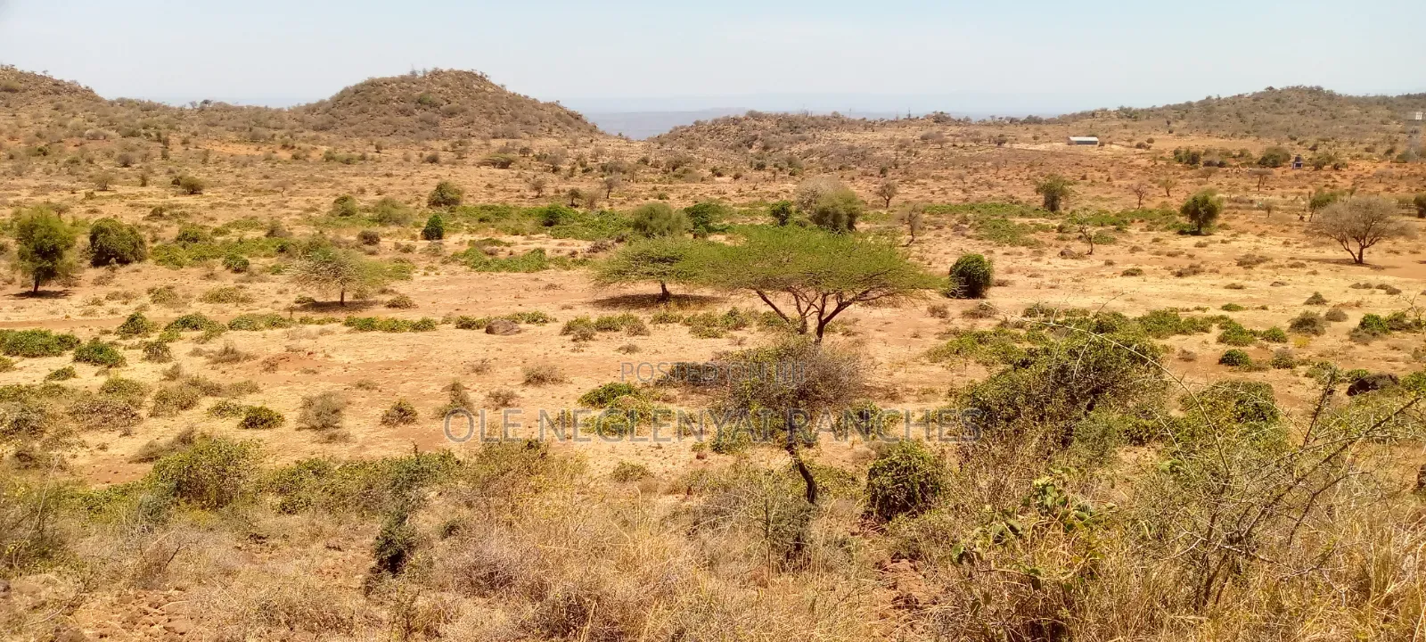 15 Acres Next to a Bore Hole for Sale
