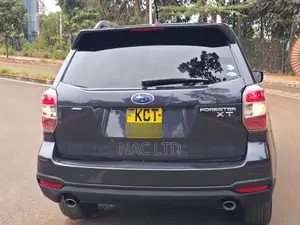Subaru Forester 2013 Gray