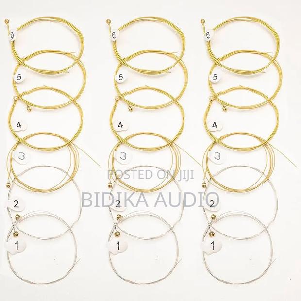 Elixir Phosphor Bronze Light Acoustic Guitar Strings - main view