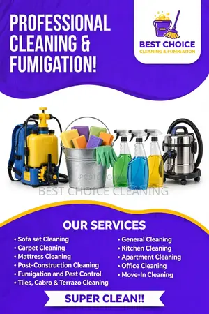 Professional Cleaning Services