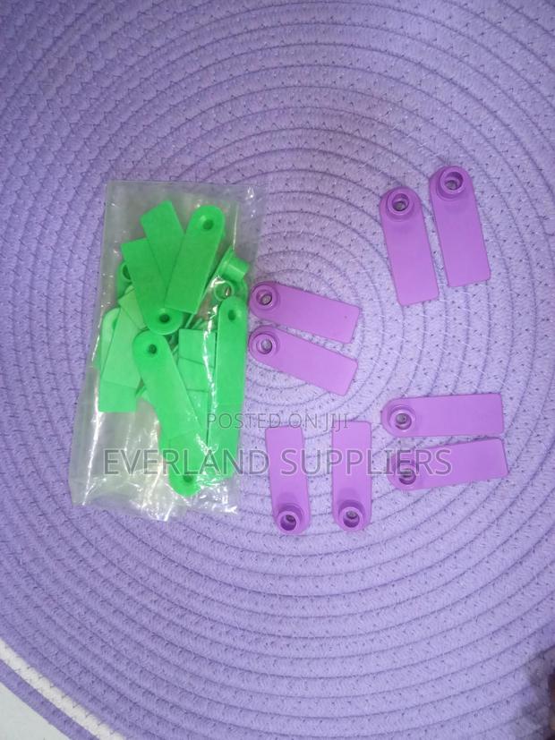 Ear Tags - Handling-Friendly Tags - main view