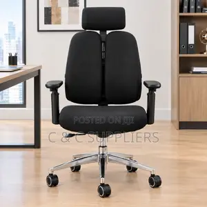 Executive Dual Back Chair With Lumber Support