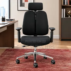 Executive Dual Back Chair With Lumber Support