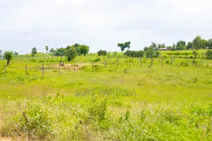 50 X 100 Mariakani