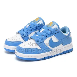 Nike Sb Dunk Blue and Sean Silver
