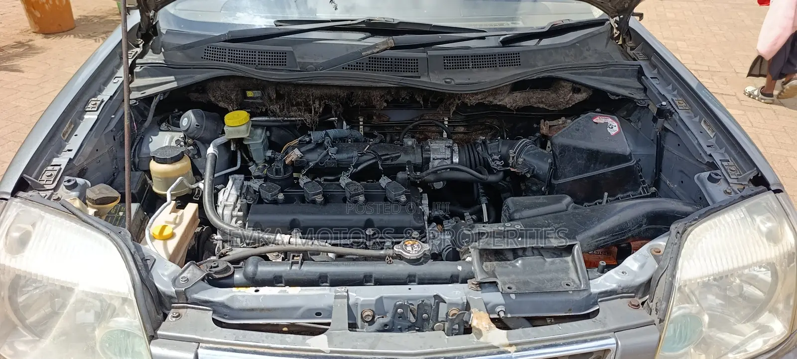 Nissan X-Trail 2006 Gray