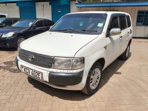 Toyota Probox 1.5 DX 2WD 2012 Pearl