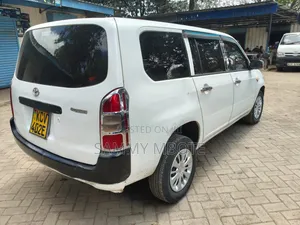 Toyota Probox 1.5 DX 2WD 2012 Pearl
