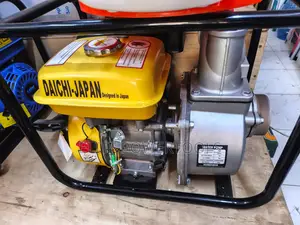 Daichi-Japan Petrol Water Pump